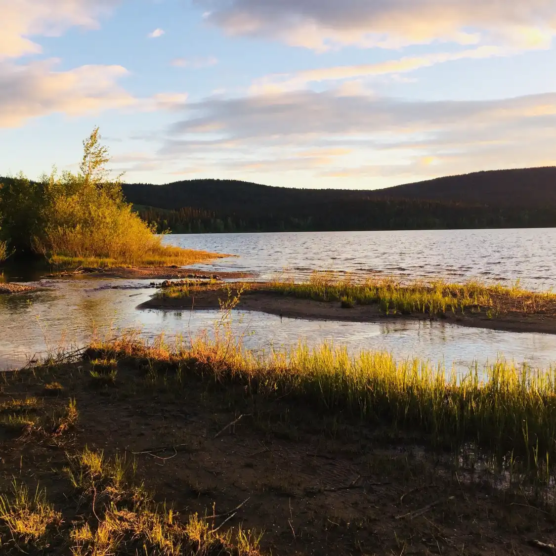 Hotels near Whiskers Point Provincial Park
