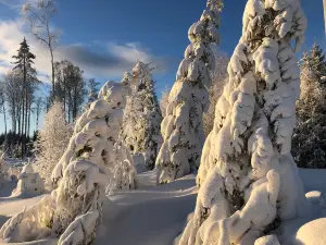 Torsby Skidtunnel & Sportcenter