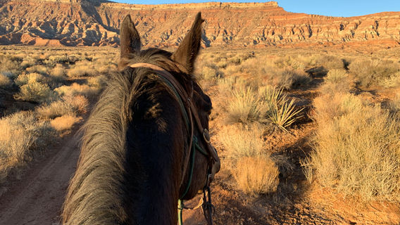 Jacob's Ranch