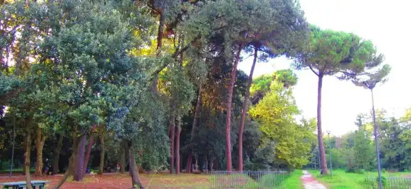 Hotels in Vecchiano