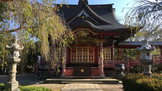 Mito