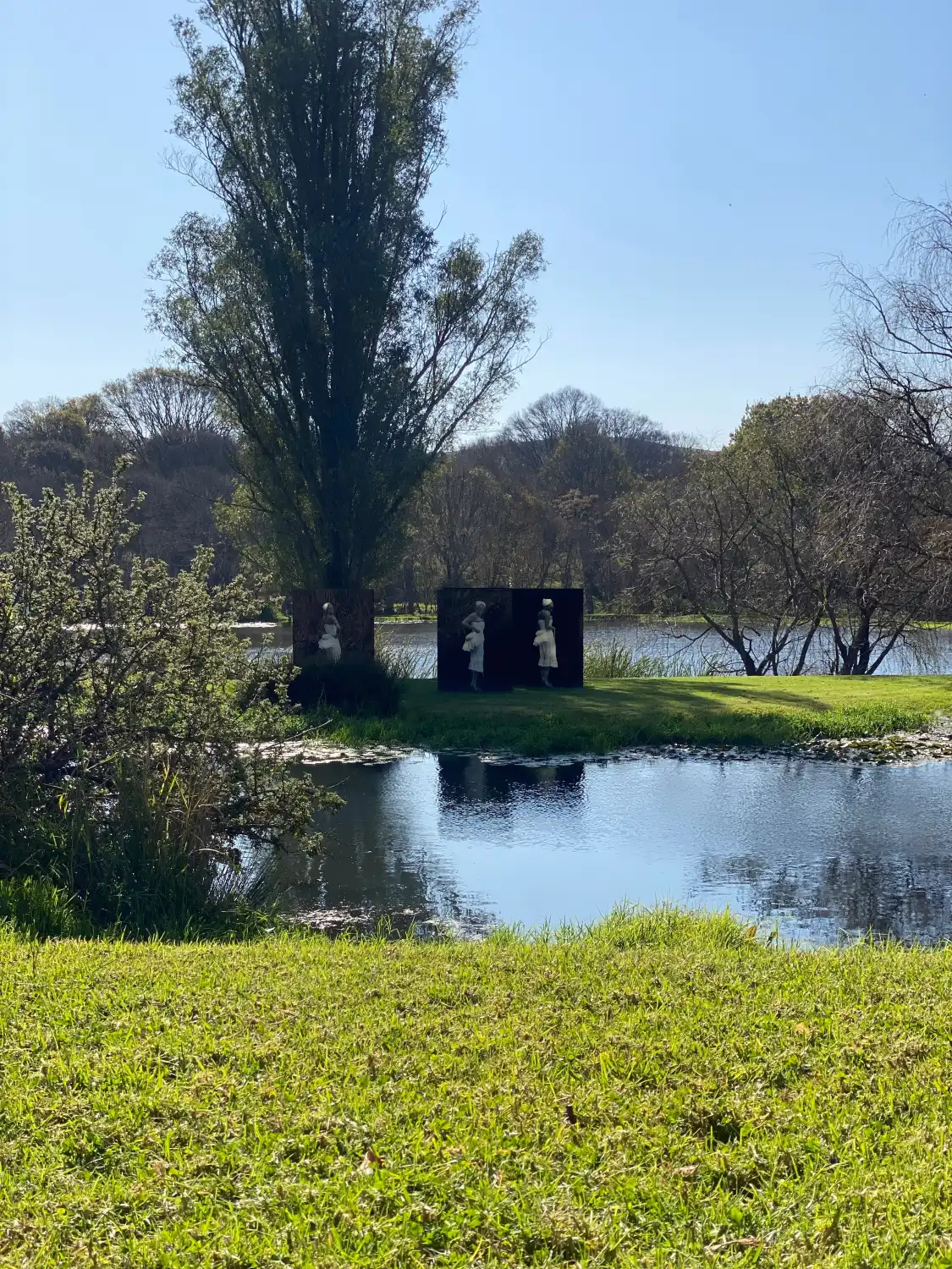 Hotels near Nirox Sculpture Park