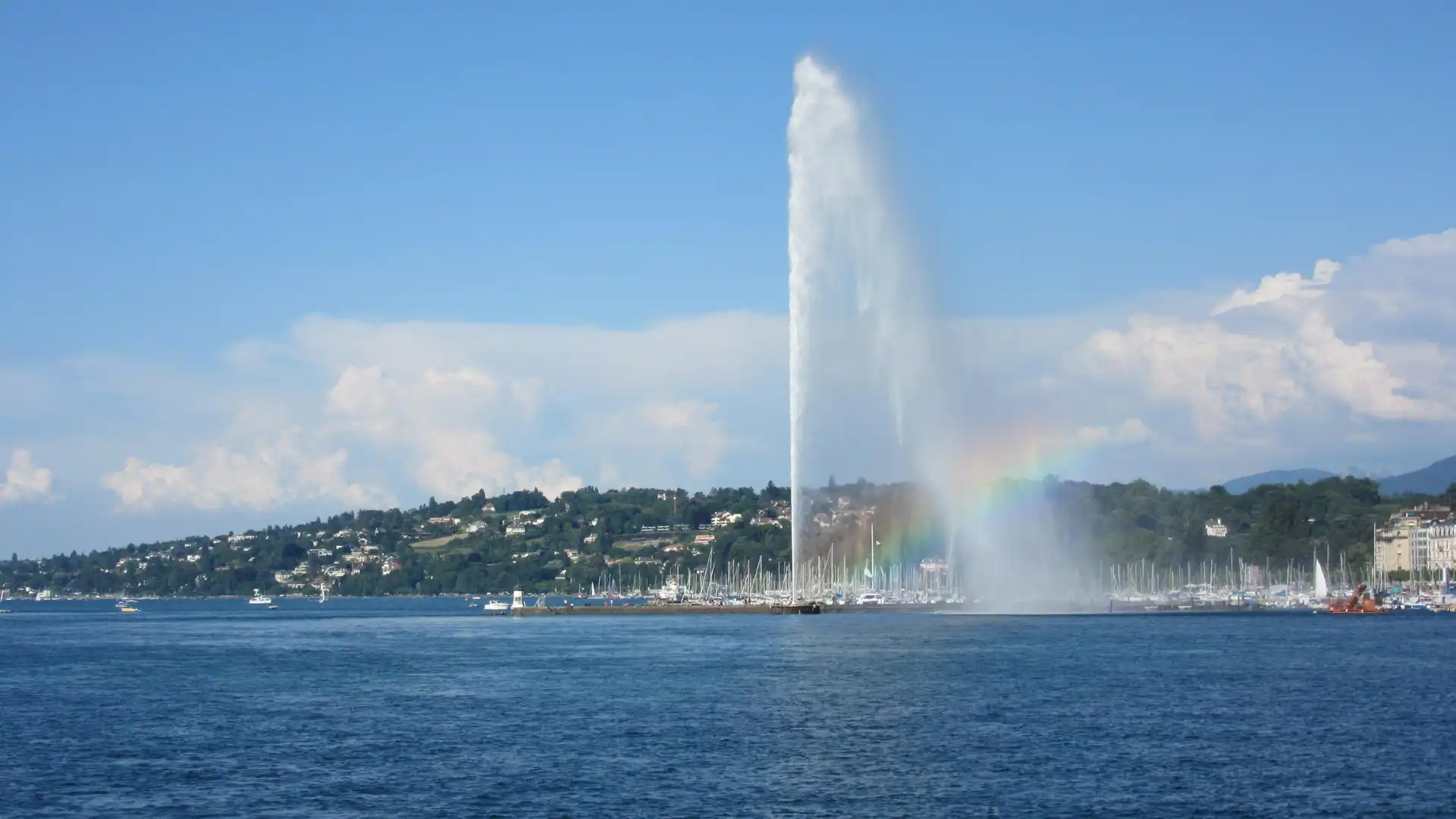 Hotels near Free Walk Geneva