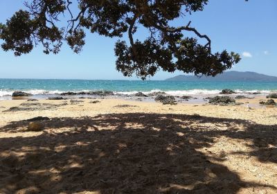 Coopers Beach