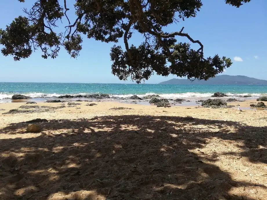 Hotels near Coopers Beach