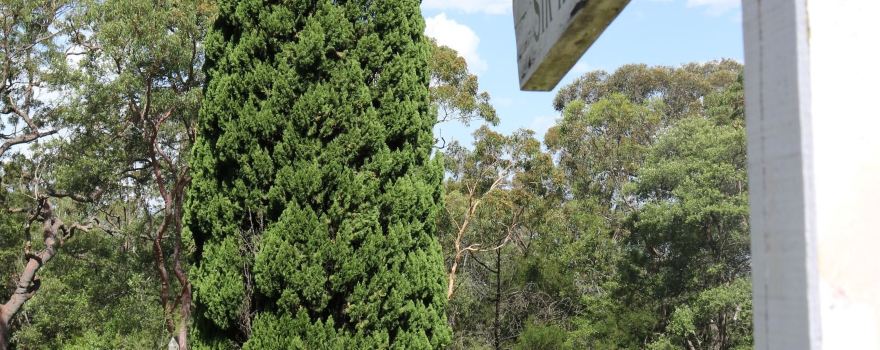 Faulconbridge Cemetery