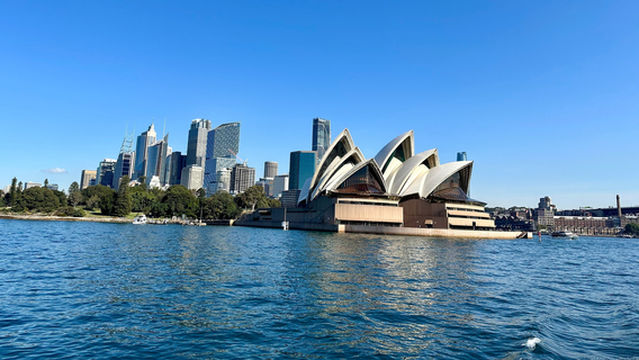 Go Whale Watching Sydney