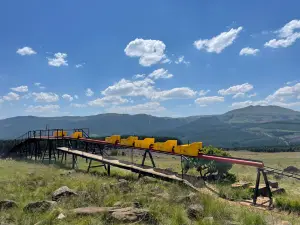 Long Tom Toboggan at Misty Mountain