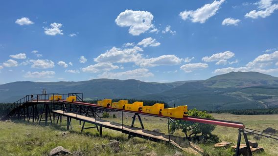 Long Tom Toboggan at Misty Mountain