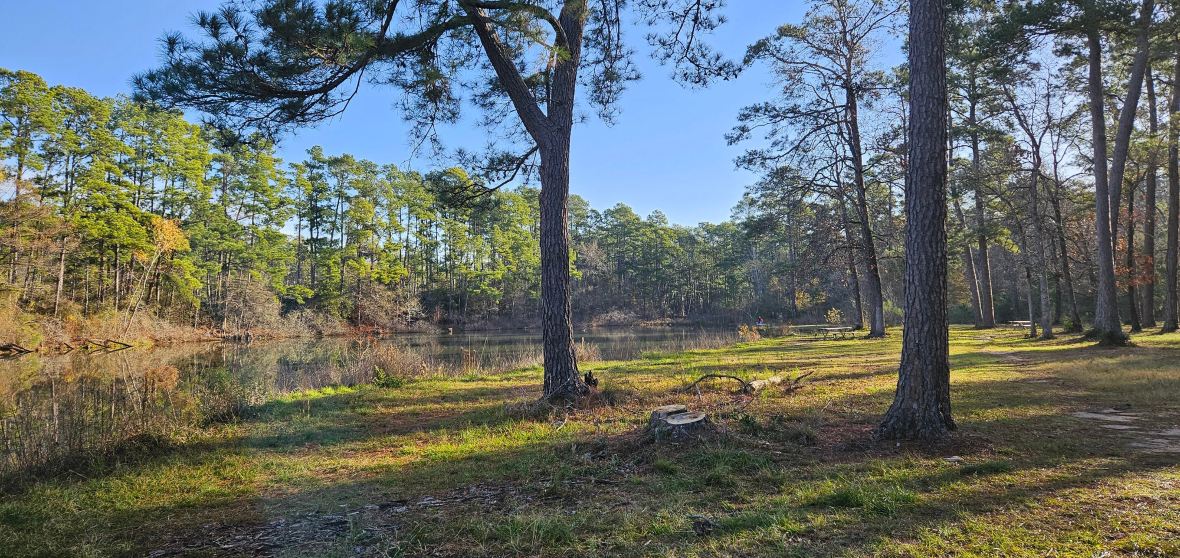 Conroe Travel Guide 2026: Top Attractions, Things to Do & Deals