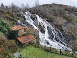 Fervenza de Brañas