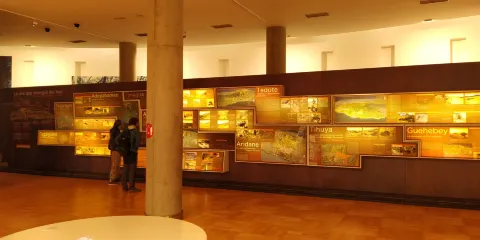 Museo Arqueologico Benahoarita