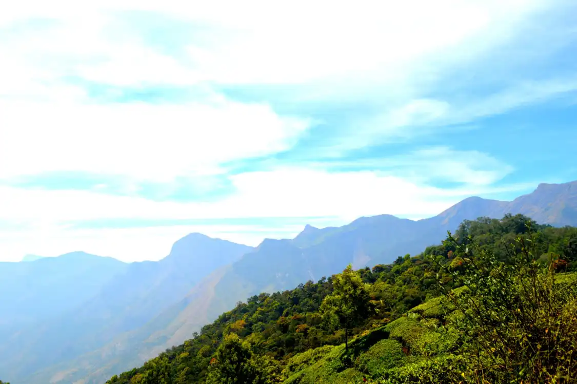 Hotels near Top Station View Point