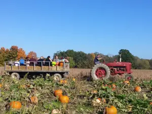 Fick Farms