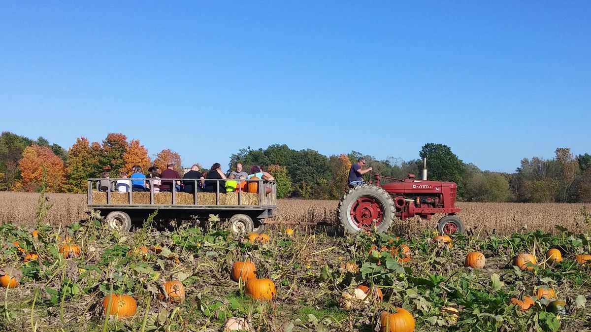 Fick Farms