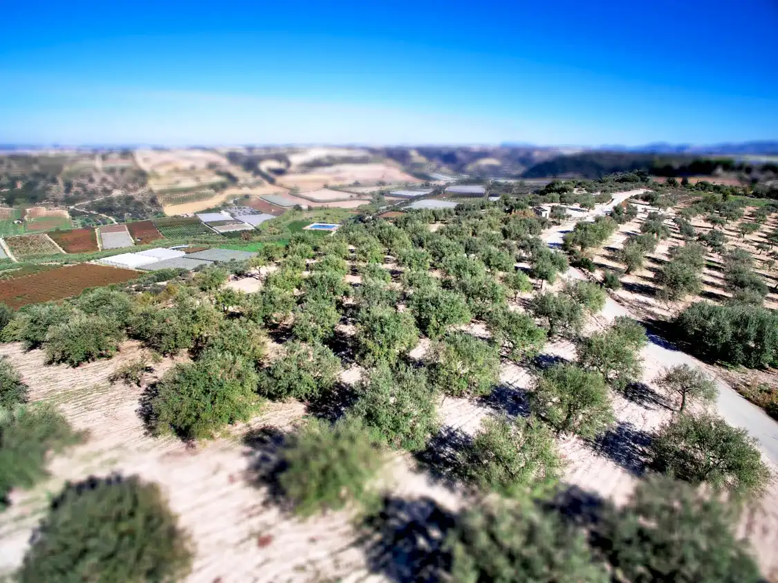 Hotels near Tenuta Chiaramonte