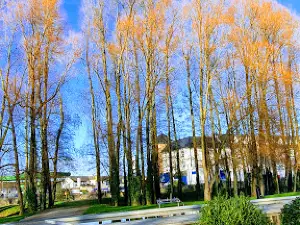 Tullamore Town Park