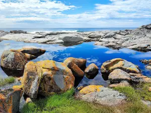 Eurobodalla National Park
