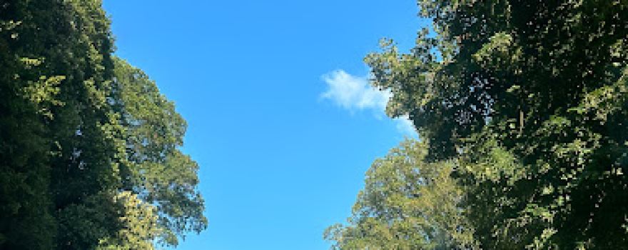 Moselblick am Igler Sprung