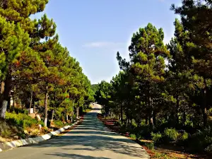 de khenak mayoune Public Garden