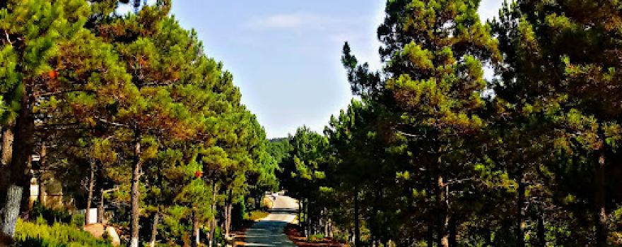 de khenak mayoune Public Garden