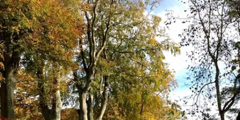 St Vigeans Sculptured Stones