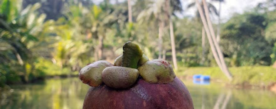 lap. Olah raga kp. Pasanggrahan
