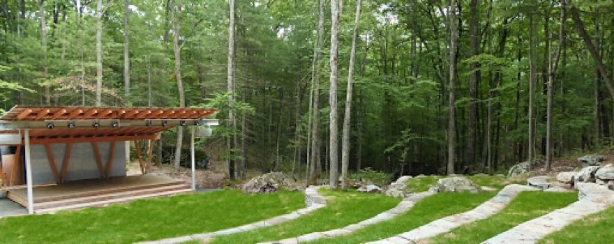 Harmony In The Woods