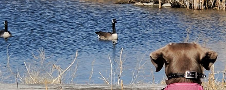 Silver Lake Recreation Area