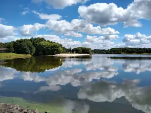 Flower Camping Des Lacs