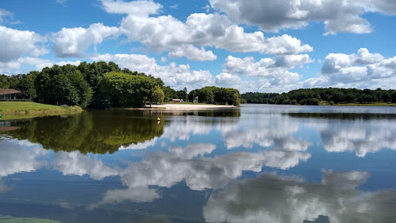 Flower Camping Des Lacs