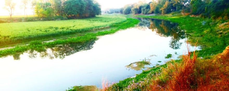 Aami River