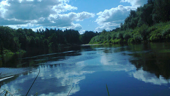 Gauja, Grīviņupītes grīva