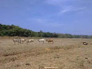 Lubang Island