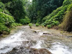 River El Mulito