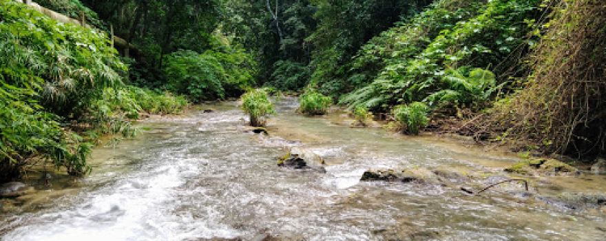River El Mulito