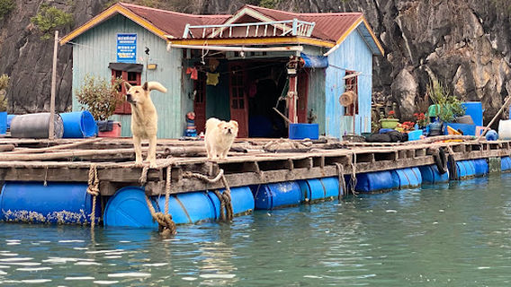 Vung Vieng Fishing Village