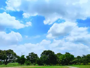 Xieng Khouang Provincial Museum