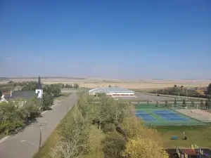 Standard and Rosebud Arena