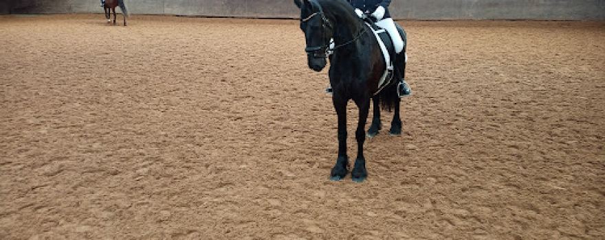 Paardensportcentrum Sleen