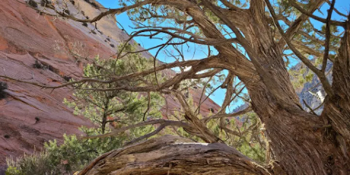 Red Hallow Canyon Trailhead