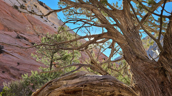 Red Hollow Canyon Trailhead