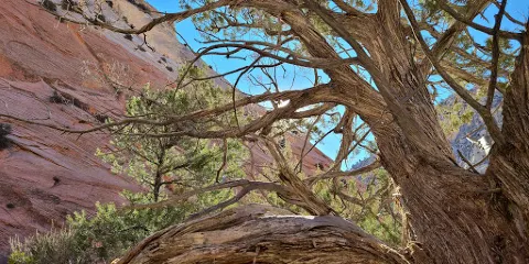 Red Hallow Canyon Trailhead