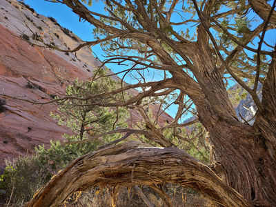 Red Hollow Canyon Trailhead