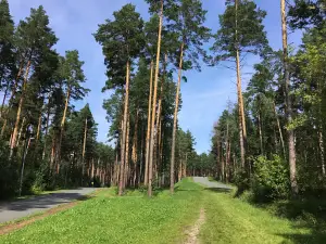 Tsentr Zimnikh Vidov Sporta "Sosnovyy Bor"