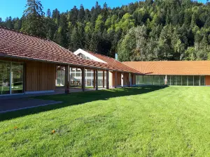 Camping Domaine De Longemer