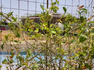 SHYAM RESORT