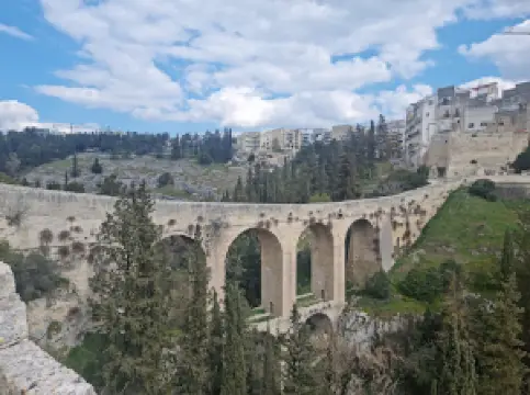 Ponte Acquedotto sul torrente Gravina