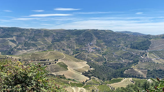 Sabrosa