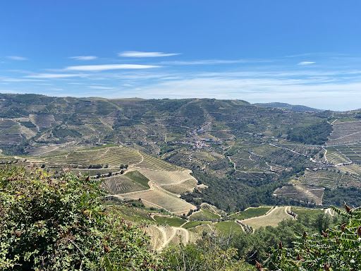 Miradouro Torguiano de São Cristovão do Douro